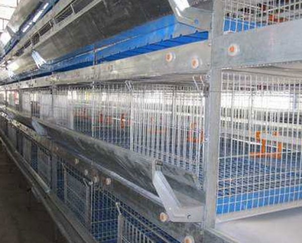家禽養殖籠具