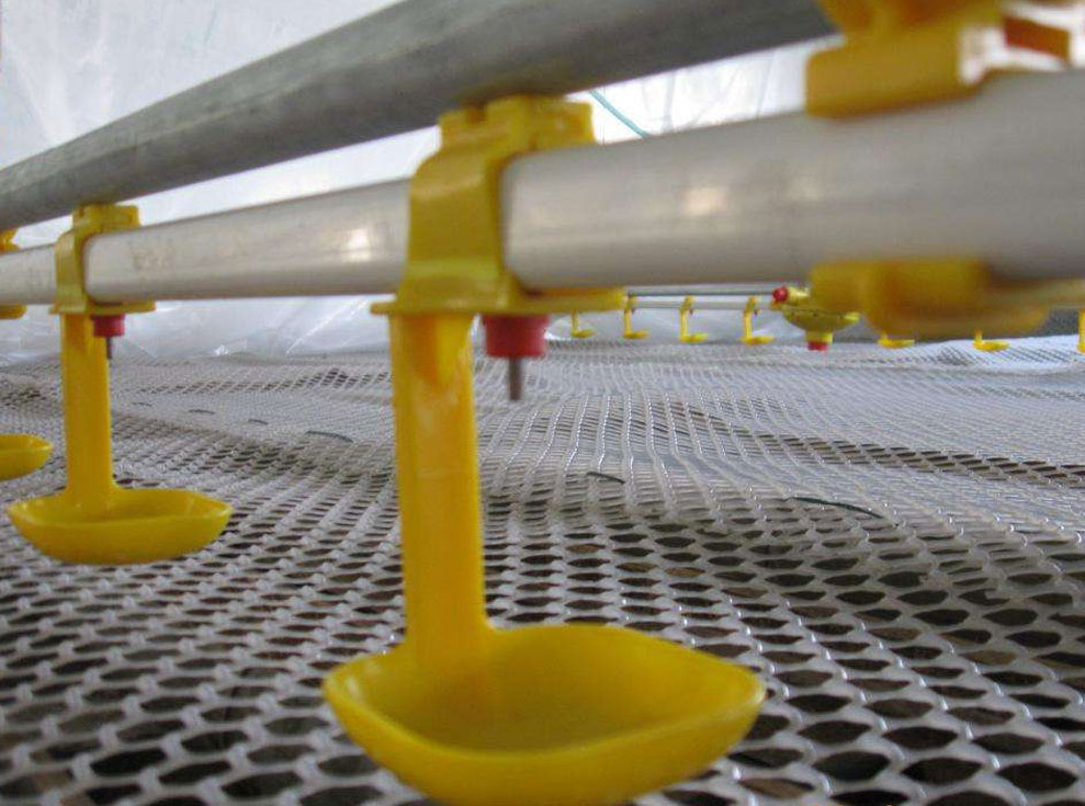 Water line
